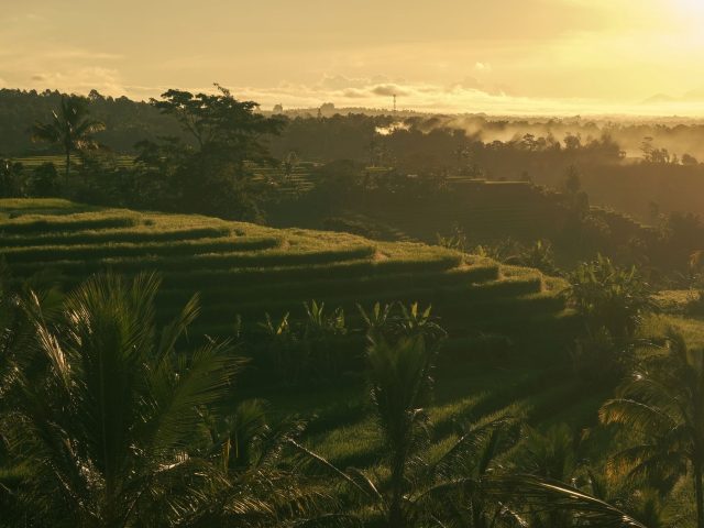 Dès l’ouverture, la nouvelle liaison vers Bali transforme vos voyages